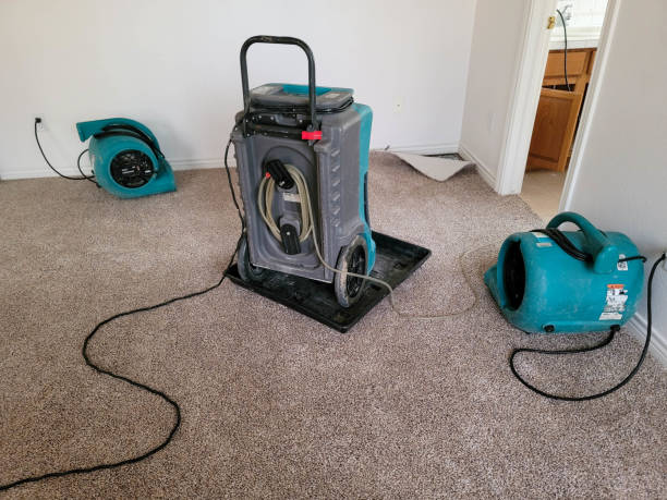 Best Professional water damage repair  in Mountain Brook, AL