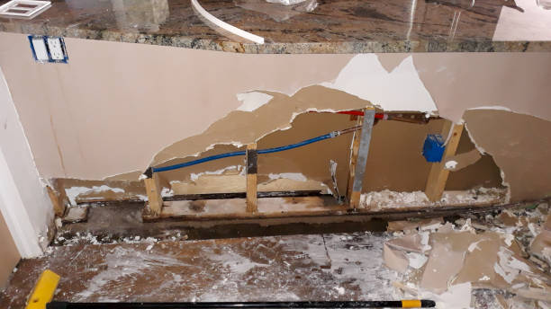 Best Basement water damage restoration  in Mountain Brook, AL