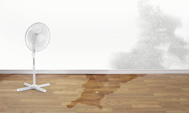 Best Local water damage restoration  in Mountain Brook, AL