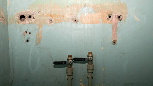 Best Flood damage cleanup  in Mountain Brook, AL
