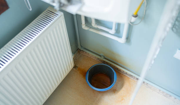 Best Mold removal after water damage  in Mountain Brook, AL