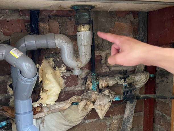 Best 24-hour water damage restoration  in Mountain Brook, AL